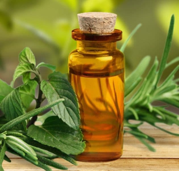 Tea Tree Oil