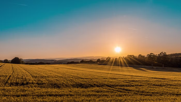Sourcing & harvest