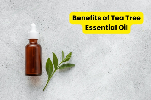 Benefits of Tea Tree Essential Oil  |Norex Flavours 