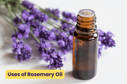 Uses of Rosemary Oil - Norex Flavours 