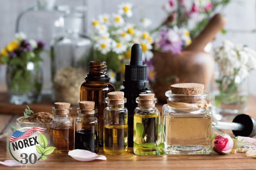 Tips to Choose the Right Essential Oil Suppliers