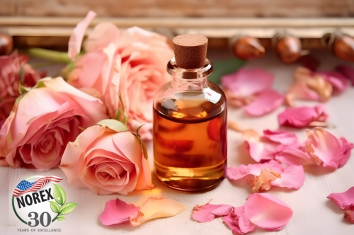 Where Can I Buy Fragrance Oils?  