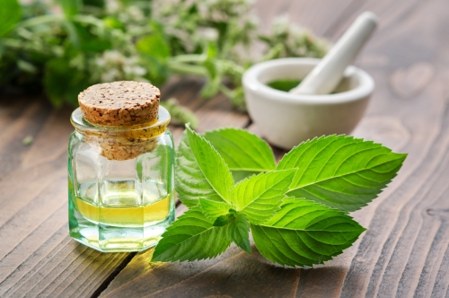 Industrial Uses of Mint Oil | Norex 