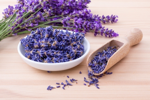 How to Identify if Lavender Oil is Pure 