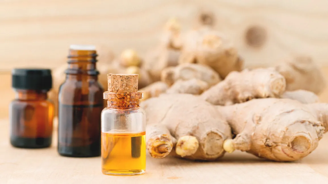 Buy Ginger Oil in Bulk From Leading Manufacturers