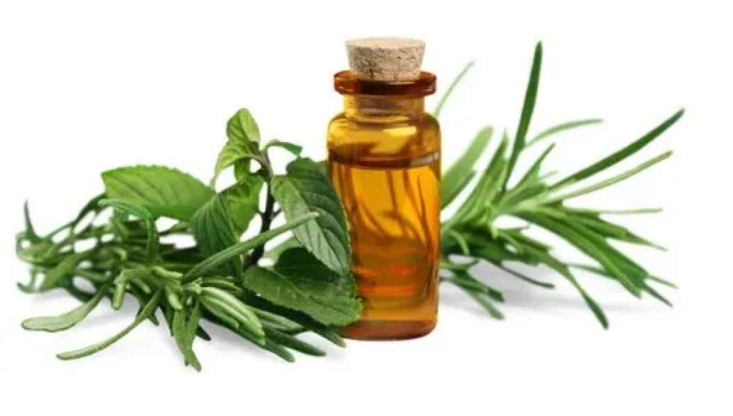 Vetiver Oil
