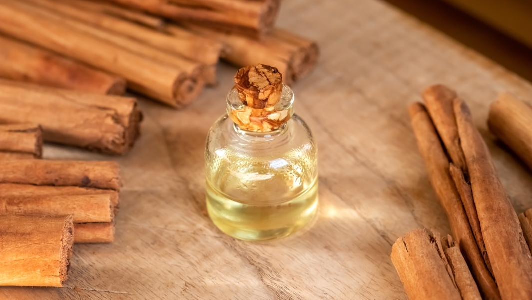 Cinnamon Bark Oil